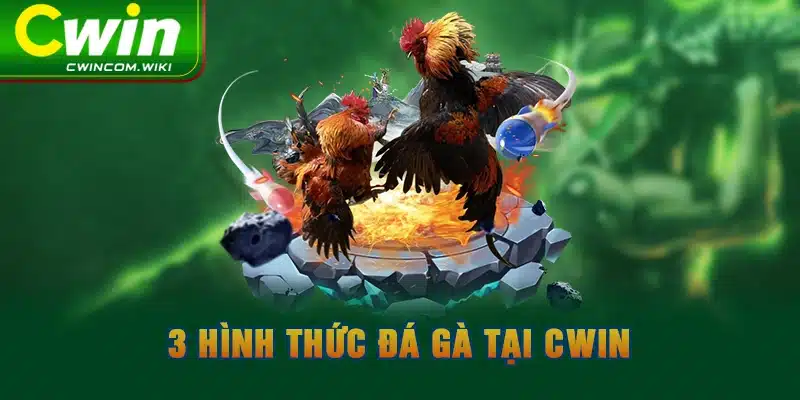 3 hình thức đá gà tại CWIN